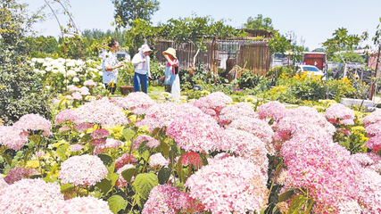 張瑩和她的"花花世界"