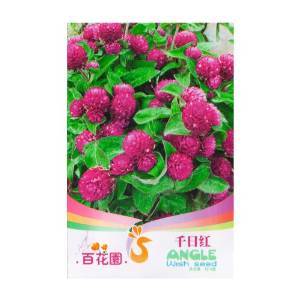 千日紅 花卉 種子 50粒(花語:天長地久 美滿團圓)- 家庭 盆栽 花卉 種子 陽臺 種植 【百花園】 價格 報價 圖片 - 亞馬遜中國
