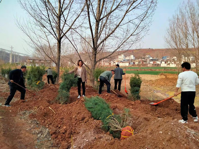 汝陽縣柏樹鄉:推進村莊綠化 打造美麗鄉村