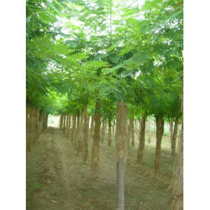 農林牧副漁-產品列表-慧聰網商