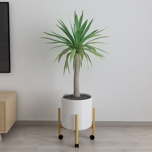 家庭花卉種植需要那些用品 常見的園藝工具選購清單