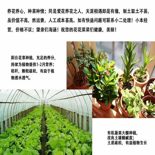 營(yíng)養(yǎng)土種菜種花多肉綠蘿肥料花土發(fā)財(cái)樹盆栽種植土有機(jī)土通用10斤
