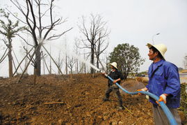 寧波植物園 萬株苗木育生態，百樣花卉綻芳華